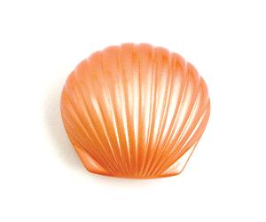 tb keepsake coral shell